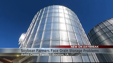 Soybean farmers face grain storage problems