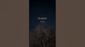 اكتب شيء تؤجر عليه // القارئ اسلام صبحي راحه لقلبك 🥺❤️‍🩹