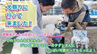 【頼むからやめて💦試食のがっつきっぷりがヤバかった！】犬祭り in ぎふ清流里山公園に行って来ました！