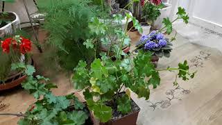 Возможные причины