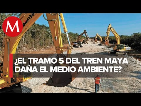 Revocan amparo ambiental al tramo 5 del Tren Maya