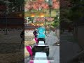 #gaming #shaneslays
