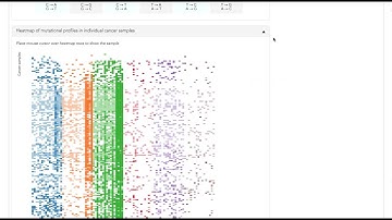 MutaGene: Exploring context-dependent mutational profiles