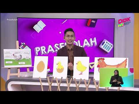 Prasekolah (2022) | Sains Awal (Prasekolah): Kitaran Hidup Haiwan [R]