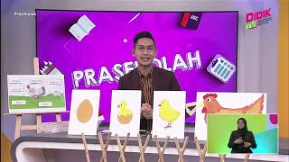 Prasekolah (2022) | Sains Awal (Prasekolah): Kitaran Hidup Haiwan [R]