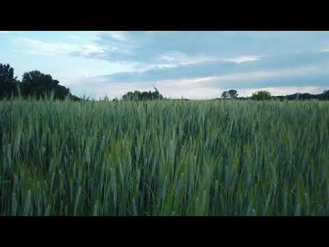 Green Land Aerial