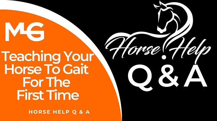 Teaching Your Horse Gaiting For The First Time | T...