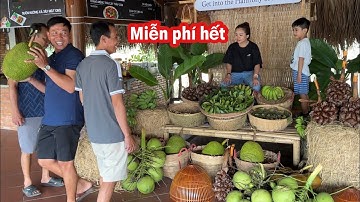 Trải Nghiệm 2 Ngày 1 Đêm Tại Khu Nghỉ Dưỡng Lớn Nhất Nhì Cần Thơ P2 | Bông Lúa Đồng Tháp