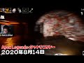 【2020年8月14日】 Apex Legends→シャドウコリドー/[DTN]とりま