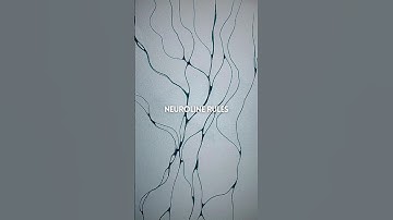 This Drawing Lines Trick Will Surprise Your Brain!