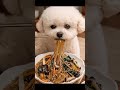 Chewy Glass Noodles, One Bite of New Year Japchae ASMR🥢쫀득 당면 한젓가락,설날 잡채 ASMR💛もちもち春雨ひとくち、お正月チャプチェASMR