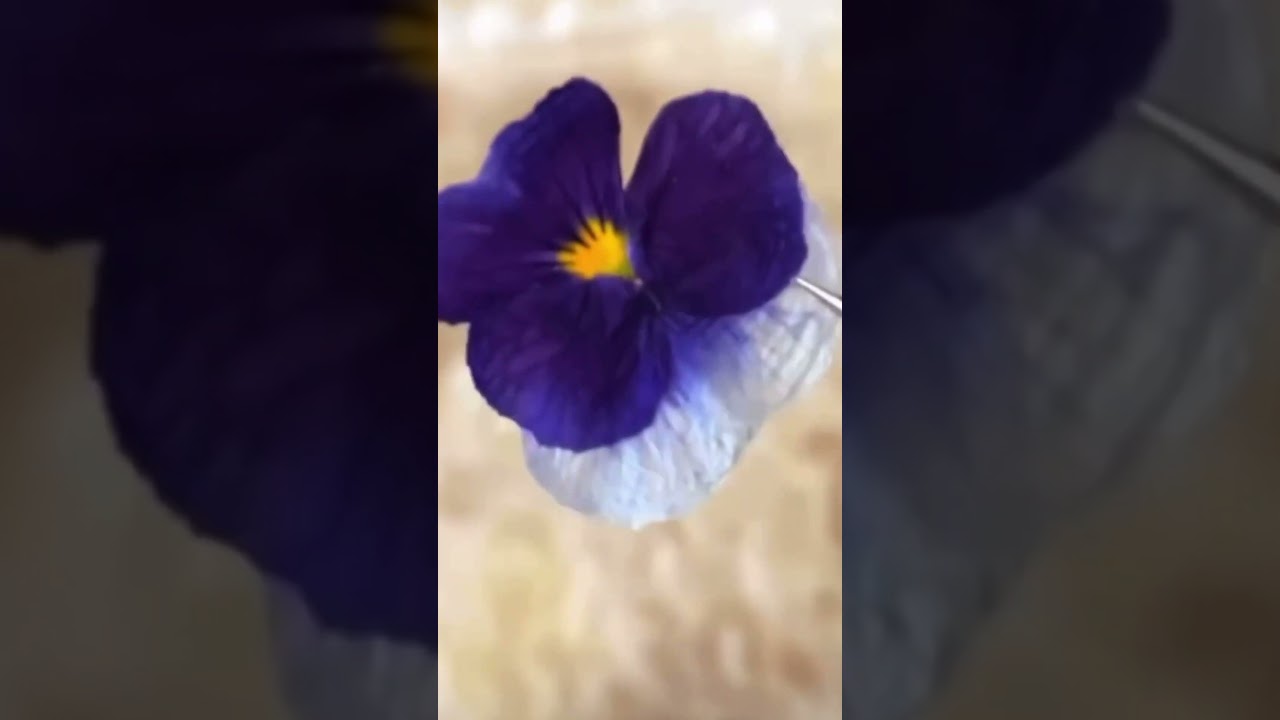 Pressing flowers in the microwave with the 