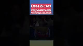 Hazal sönmez- #osestürkiye #hayvanlarcandir Resimi