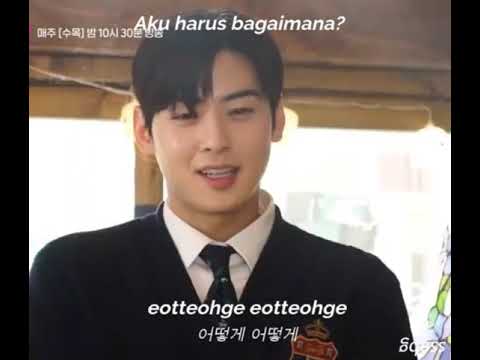 Ottoke Song Cha Eun Woo lirik lndo
