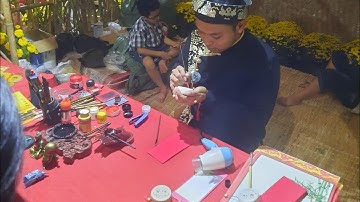 Cùng dạo một vòng đường hoa Phan Thiết Xuân Quý Mão 2023