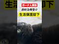 千葉市に拍手！外国人の生活保護却下