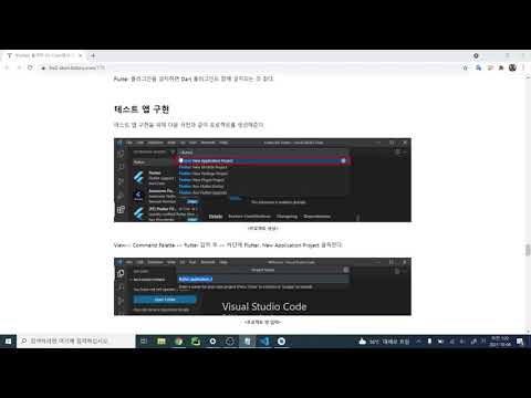 [Flutter] 플러터 VS Code에서 개발환경 구축