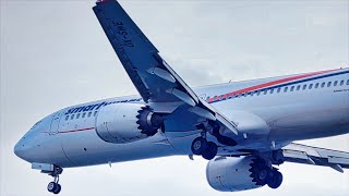 CLOSEUP Smartwings BOEING 737 MAX 8 Landing at Madeira Airport