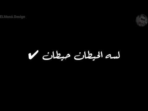 حقيقة مولامه