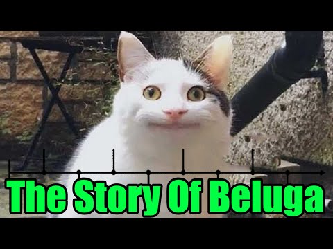 The Story of Beluga (Full Story) 