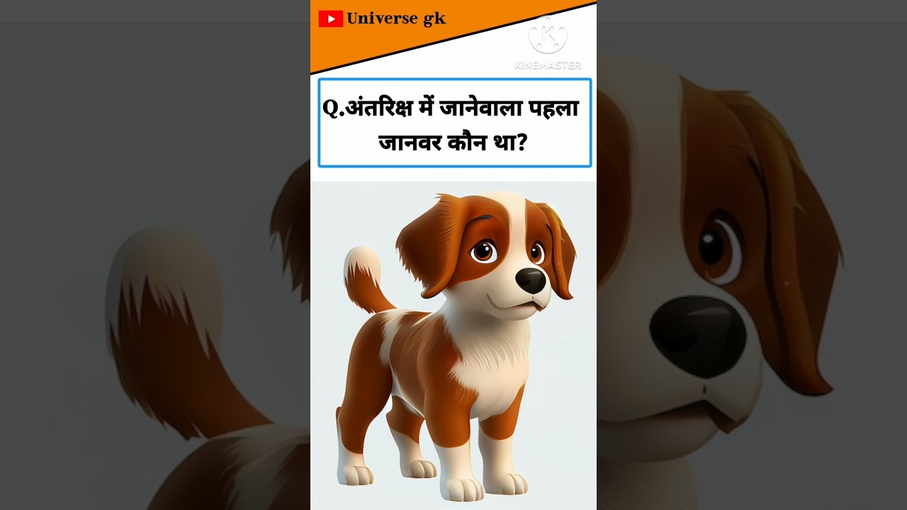 Which first animals go to space in the world gk shorts by 