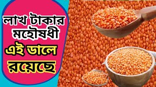 মসুর ডালের উপকারিতা || Benefits of Red Lentil || Health Maintain ||