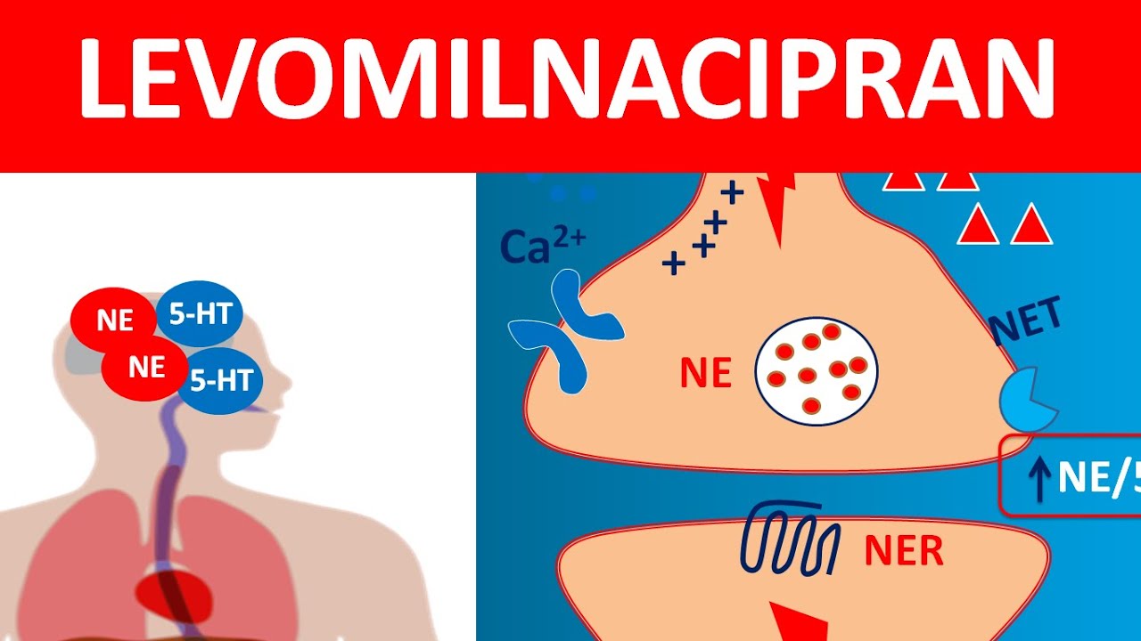 Levomilnacipran ER  capsules (Fetzima) | Precautions, side effects & uses