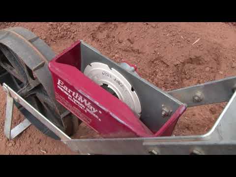 Seeding Carrots