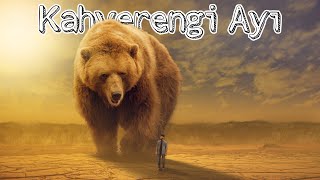 Kahverengi̇ Ayi Hakkinda Bi̇lmedi̇ği̇ni̇z 5 Şey