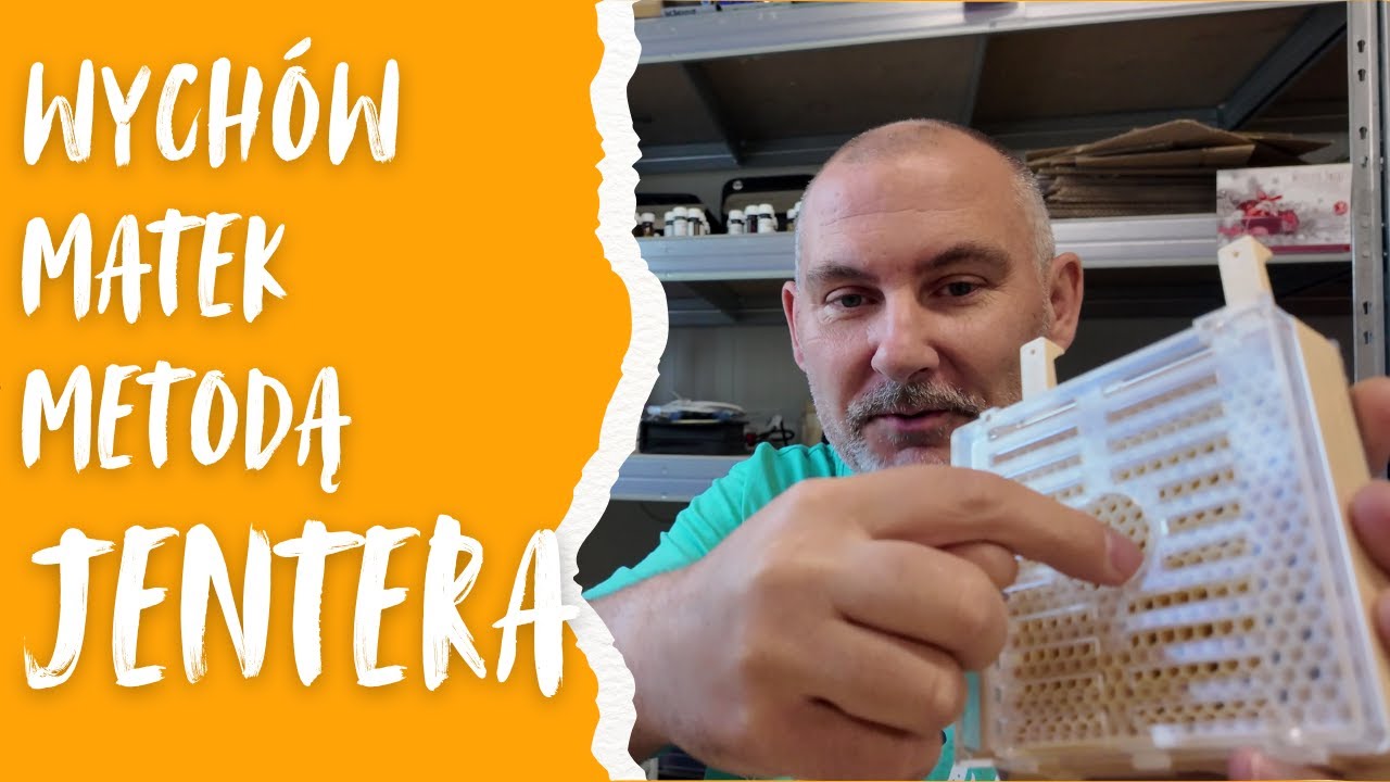Wychów matek metodą JENTERa