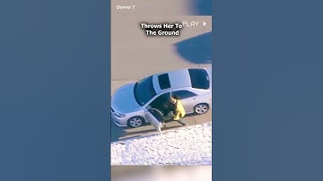 Real life GTA police chase