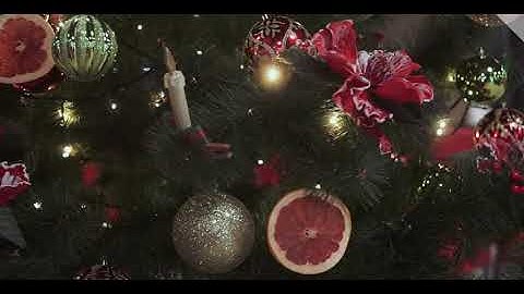 Background Blur Bokeh Creative Video for Projects and Video Editing  36