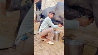 Subscribe me #youtubeshorts #shortvideo