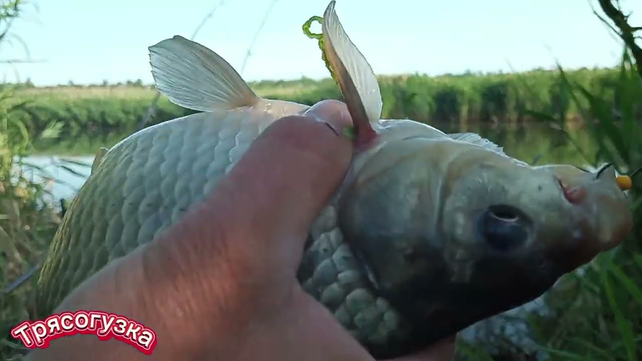 Карась мастырка пенопласт! 🔥