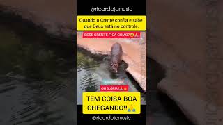 TEM COISA BOA CHEGANDO! OH GLÓRIA!!🙏🔥