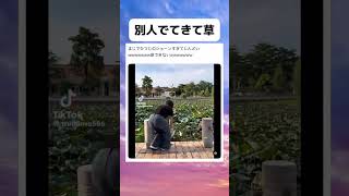 まるでヒツジのしょーん