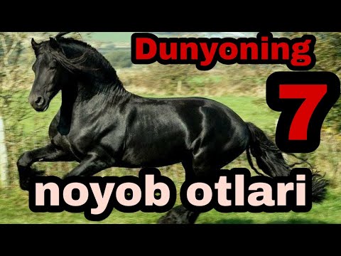 Video: Otlarning qanday zotlari bor: nomi, tavsifi, fotosurati