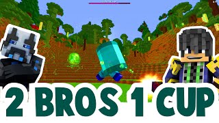 A Cup and 2 Bros : What Popular MMOS Missed : Minecraft