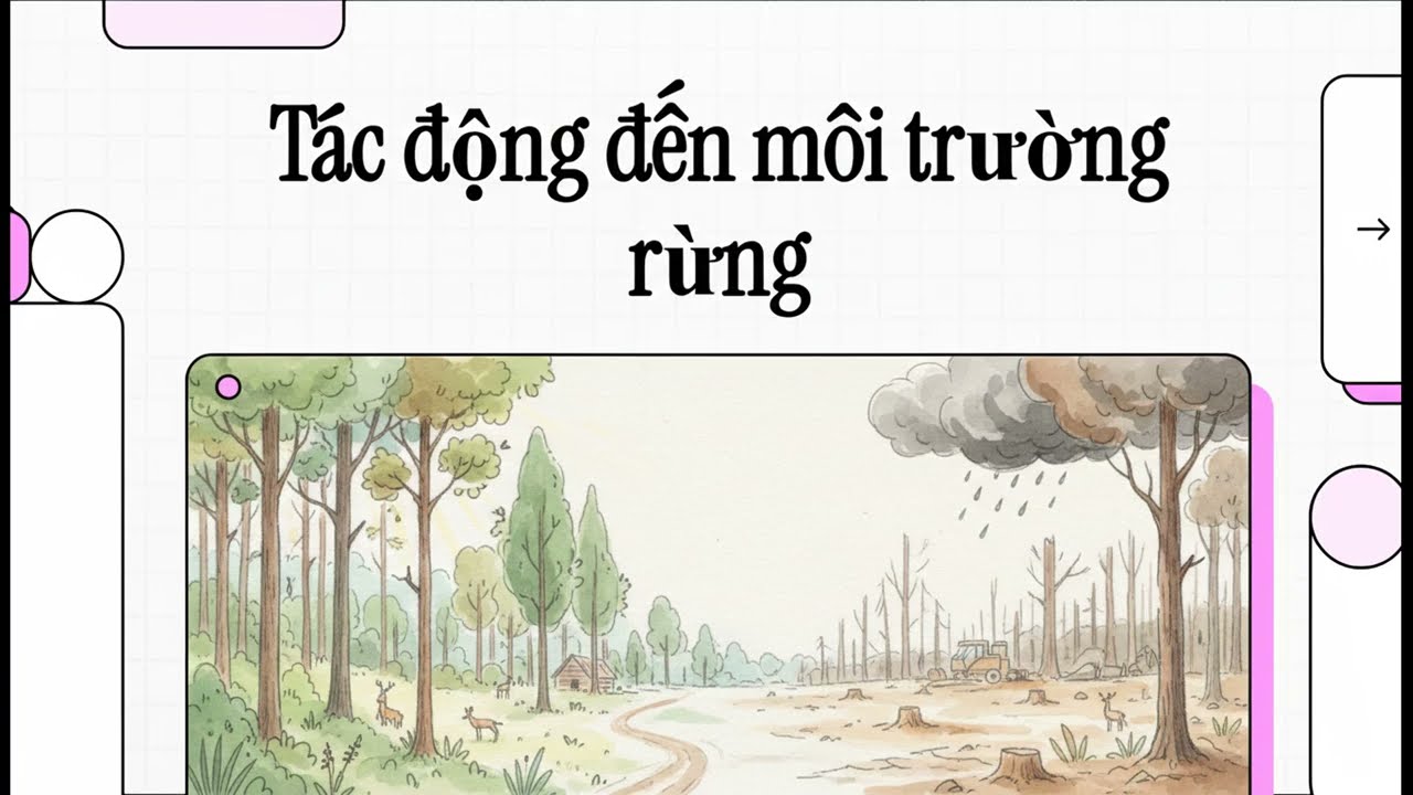 Bài 65. KHoa học 5. Tác động của con người đến môi trường rừng