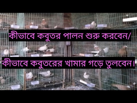 ভিডিও: কীভাবে প্রদর্শন শুরু করবেন