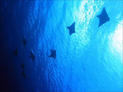 なぎさの地球・女声四部ソプラノ２（MIDI）