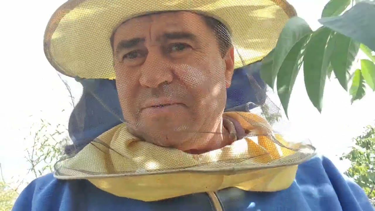 562.Ultima extractie. Pastrarea ramelor extrase.