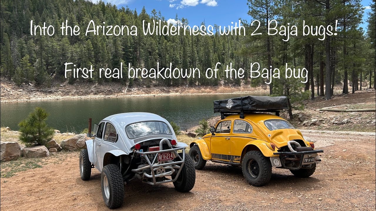 E11 Первая серьёзная поломка, автопутешествие и кемпинг по Аризоне с двумя Baja Bugs! | VW Baja O...