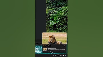 How to Stop Websites from Showing Malicious or Abusive Browser Notifications (Google Chrome) #shorts