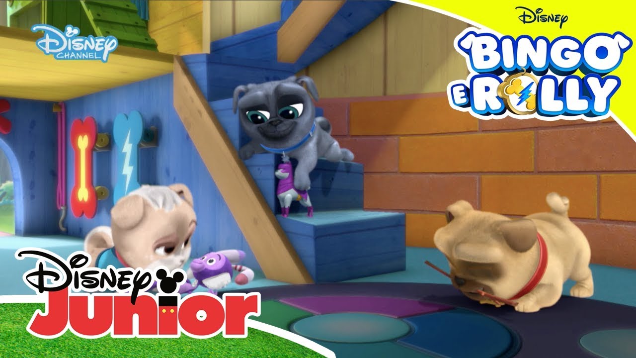 Brincar com Bingo e Rolly - A Creche dos Cachorrinhos