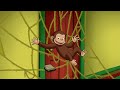 Coco ist im Spinnennetz | Coco der Neugierige | Cartoons für Kinder | WildBrain Deutsch