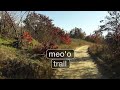 Trail -  meo'o