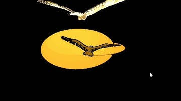 Real-time Cast Shadow Contours