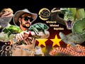 King of top 5 reptiles  wickenswickedreptiles speaks out  live ep 17