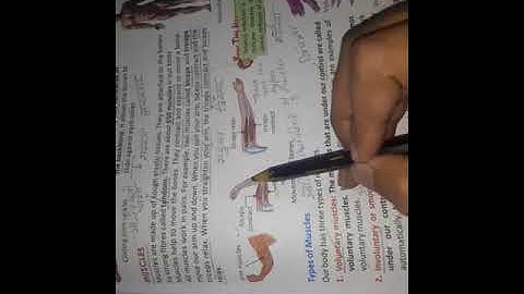Class 5 Chapter 8 Skeleton System and Nervous System
